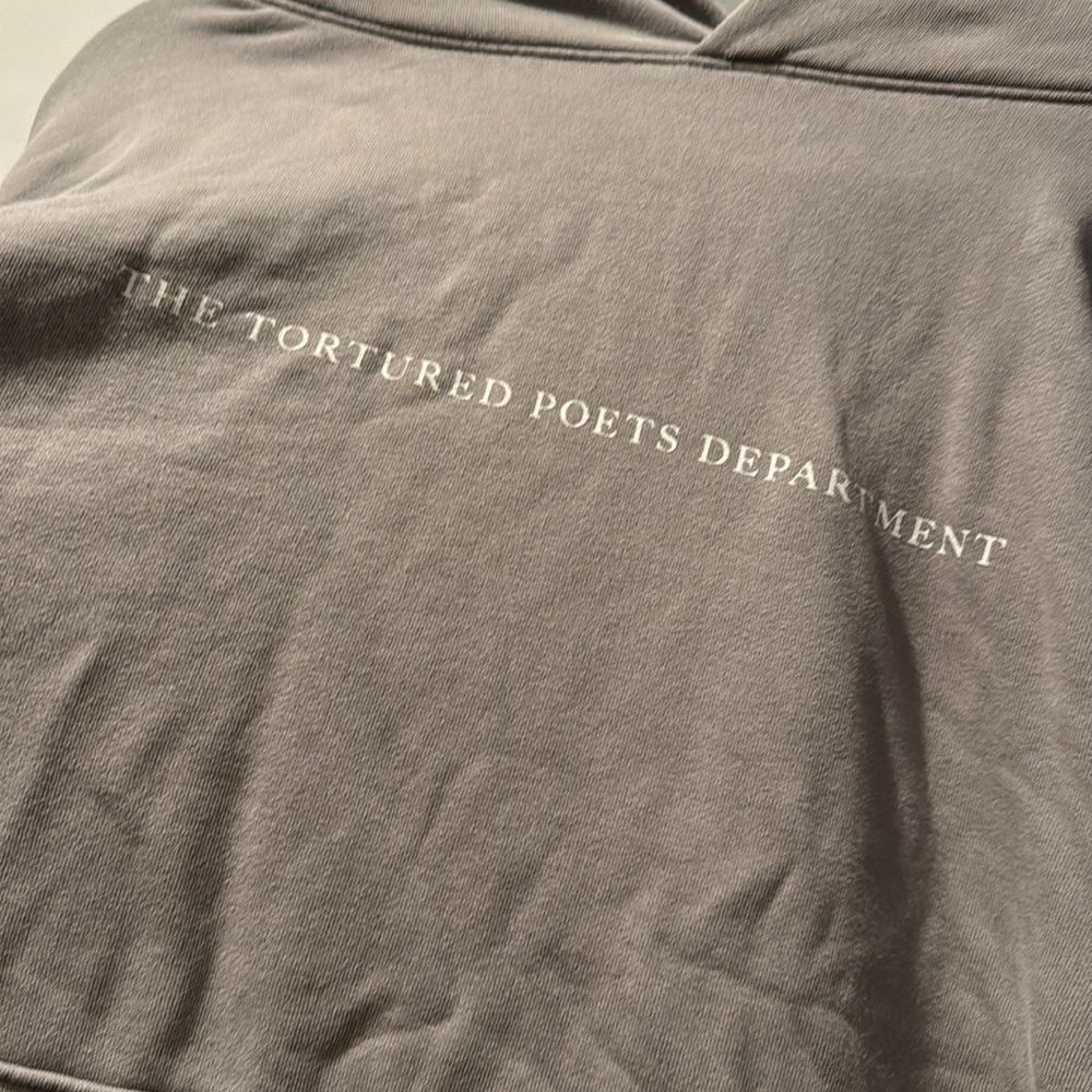 NWT! Taylor Swift tortured poets department Light Gray Hoodie - Picture 3 of 9